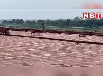 Tajmahal Agra: ताजमहल देखने जाने से पहले हो जाइए तैयार, इनके हमलों से आपको बचना होगा, देखिए वीडियो