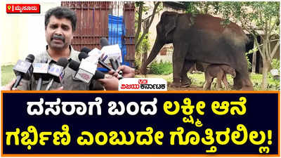 Dasara Elephant Lakshmi: ದಸರಾಗೆ ಬಂದ ಲಕ್ಷ್ಮೀ ಆನೆ ಗರ್ಭಿಣಿ ಎಂಬುದೇ ಗೊತ್ತಿರಲಿಲ್ಲ: ಡಿಸಿಎಫ್‌ ಕರಿಕಾಳನ್‌