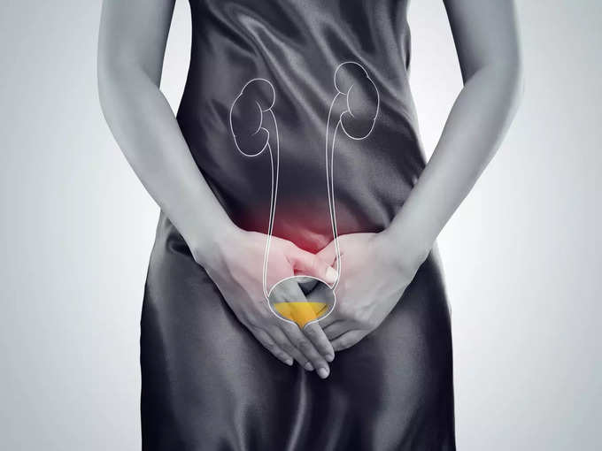 ​১. মহিলাদের ইউরিনারি ট্যাক্ট তৈরি আলাদা রকমভাবে (Urinary Tract Build Differently)