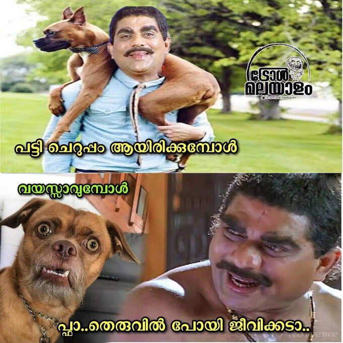 ​കടി കൊള്ളാൻ പാവം നാട്ടുകാരും