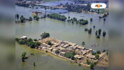 Pakistani Flood: ‘শিয়া টমেটো’ চাই না! ইরানের পাঠানো সবজি ট্রাকের চাকায় পিষল বন্যা দুর্গত পাকিস্তান