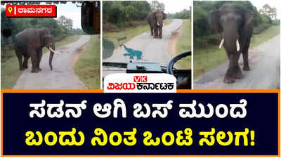 Elephant Attack: ಹಠಾತ್‌ ಆಗಿ ಬಸ್‌ ಮುಂದೆ ಬಂದು ನಿಂತ ಒಂಟಿ ಸಲಗ! ರಾಮನಗರದ ಕಾಡು ಶಿವನಹಳ್ಳಿ ಬಳಿ ಘಟನೆ