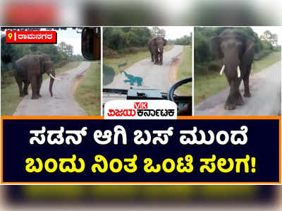 Elephant Attack: ಹಠಾತ್‌ ಆಗಿ ಬಸ್‌ ಮುಂದೆ ಬಂದು ನಿಂತ ಒಂಟಿ ಸಲಗ! ರಾಮನಗರದ ಕಾಡು ಶಿವನಹಳ್ಳಿ ಬಳಿ ಘಟನೆ