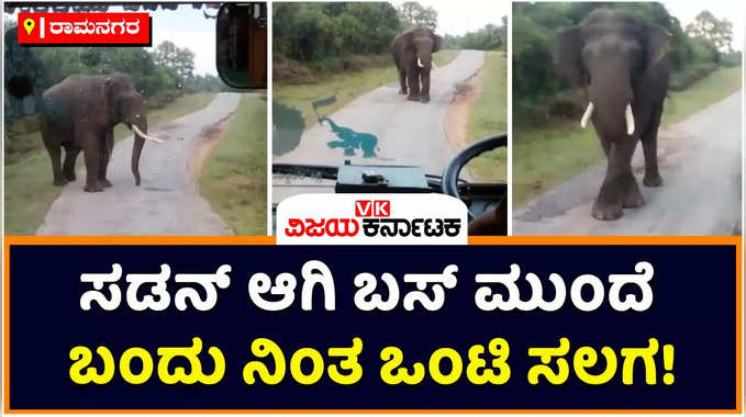 Elephant Attack: ಹಠಾತ್‌ ಆಗಿ ಬಸ್‌ ಮುಂದೆ ಬಂದು ನಿಂತ ಒಂಟಿ ಸಲಗ! ರಾಮನಗರದ ಕಾಡು ಶಿವನಹಳ್ಳಿ ಬಳಿ ಘಟನೆ