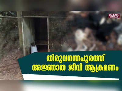 തിരുവനന്തപുരത്ത് അജ്ഞാത ജീവി ആക്രമണം |  unknown creature