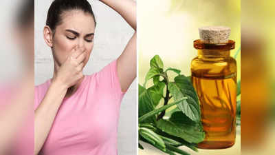 Bad body odor remedies: शरीर की दुर्गंध का पक्का इलाज हैं ये किचन की ये 6 चीजें, पूरे दिन खुशबू से महकेगा बदन