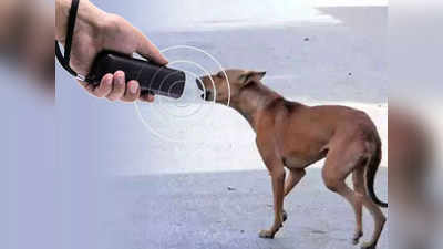 Dog Attack: কুকুরে ভয়? অন্ধকার রাস্তায় সুরক্ষিত থাকতে সঙ্গে রাখুন এই রিমোট