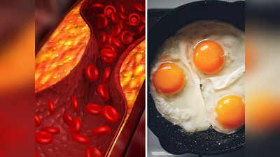 Eggs And Cholesterol: কোলেস্টেরলের জন্য ডিমে ভয়, সেলেব পুষ্টিবিদ কী বলছেন জেনে নিন