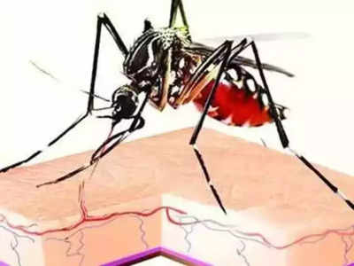 Dengue: কাউন্সিলাররা সতর্ক না হলে পুজোয় ভয়াবহ ডেঙ্গি: মেয়র