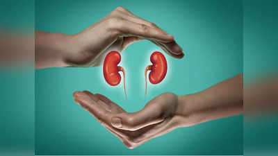 Kidney Health : వీటిని తింటే కిడ్నీలకు చాలా మంచిదట..