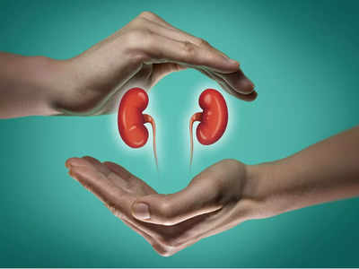 Kidney Health : వీటిని తింటే కిడ్నీలకు చాలా మంచిదట..