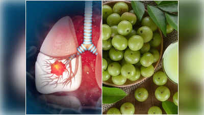 Healthy Diet For Lungs: এই ৫ চেনা ফল ফুসফুসের জন্য অমৃত, জমে থাকা টক্সিন টেনে বের করে দেয়