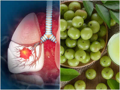 Healthy Diet For Lungs: এই ৫ চেনা ফল ফুসফুসের জন্য অমৃত, জমে থাকা টক্সিন টেনে বের করে দেয়