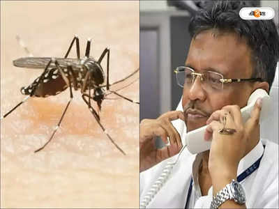 Dengue Symptoms : পুজোর আগে কলকাতার নয়া ত্রাস ডেঙ্গি থ্রি, চরিত্র বদল নিয়ে উদ্বিগ্ন মেয়র