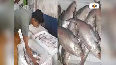 Ilish Fish: ওপার বাংলায় ২২ দিন ইলিশে নিষেধাজ্ঞা, পুজোর আগে দাম বাড়বে কলকাতায়?