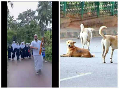 Kerala stray dogs: ప్రాణాలు తీస్తోన్న శునకాలు... రక్షణ కోసం తుపాకులు పట్టుకుంటున్న జనం