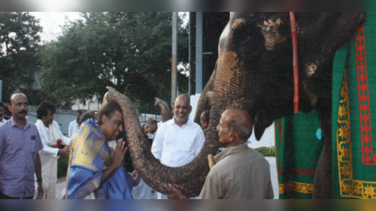 Pics: તિરુપતિ મંદિરમાં મુકેશ અંબાણી પર પ્રસન્ન થયા ગજરાજ 