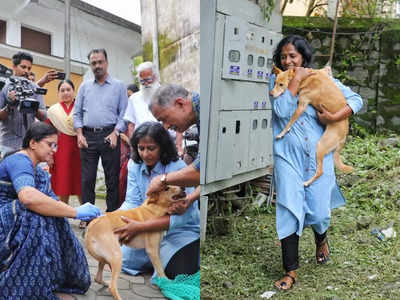 തെരുവ് നായ്ക്കള്‍ക്കുള്ള വാക്‌സിനേഷന് വയനാട്ടില്‍ തുടക്കം; കുത്തിവെപ്പ് നടത്തുന്നത് ആദ്യ ഹോട്ട്‌സ്‌പോട്ടായ കല്‍പ്പറ്റയില്‍‌