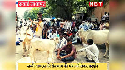 Sawai Madhopur News : कलक्ट्रेट में गायों की आरती और गहलोत सरकार की सदबुद्धि के लिए हनुमान चालीसा पढ़ी गई