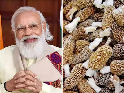 72 वर्षांचे नरेंद्र मोदी 24 तास काम करण्याइतके फिट कसे? या 5 गोष्टी त्यांच्या एनर्जीला धक्काही लागू देत नाहीत..