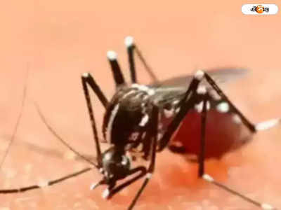 Dengue: পশ্চিম মেদিনীপুরে জেলায় উদ্বেগ বাড়াচ্ছে ডেঙ্গি, আক্রান্ত শতাধিক