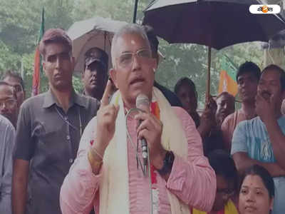 Dilip Ghosh: কাঁচা, গাঁটওয়ালা বাঁশ কেটে রাখতে হবে...! দিলীপ বচনে ফের শোরগোল