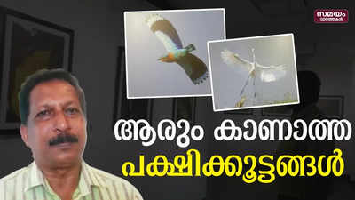 കളർഫുൾ കാഴ്ച്ചയൊരുക്കി ഒരു ഫോട്ടോഗ്രാഫർ | Wildlife Photographer