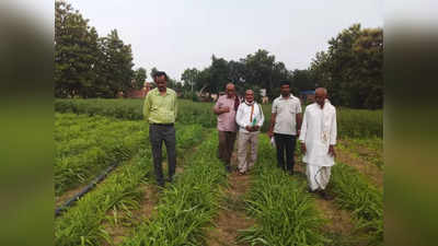 Herbal Farming: हर्बल फार्मिंग से लाखों कमा रहा है गाजीपुर का यह किसान, दूसरों के लिए पेश की नजीर