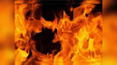 Betul : खेत में बने घर में लगी आग, गृहस्‍थी का सामान जला, 14 मवेशी झुलसे, 9 की मौत