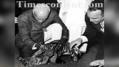पंडित जवाहरलाल नेहरू को भी था जानवरों से प्रेम... यकीन नहीं, जान लीजिए इस तस्वीर की कहानी