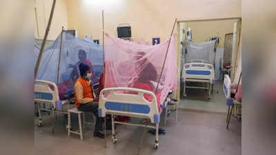 Dengue Treatment: পুজোর মুখে ডেঙ্গি নিয়ে কড়া পুরসভা, আতঙ্ক বাড়ছে এই জেলাগুলির পরিস্থিতি