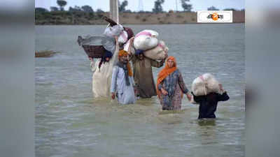 Pakistan Flood: বন্যার মধ্যেই পাকিস্তানে নয়া বিপদ, ছড়াচ্ছে ডেঙ্গি-কলেরা