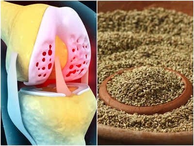 Calcium Rich Foods: পুষ্টিবিদের মতে এই ৫ নিরামিষ খাবারে আছে ক্যালশিয়ামের প্রাচুর্য, হাড় হবে লোহার থেকেও শক্ত