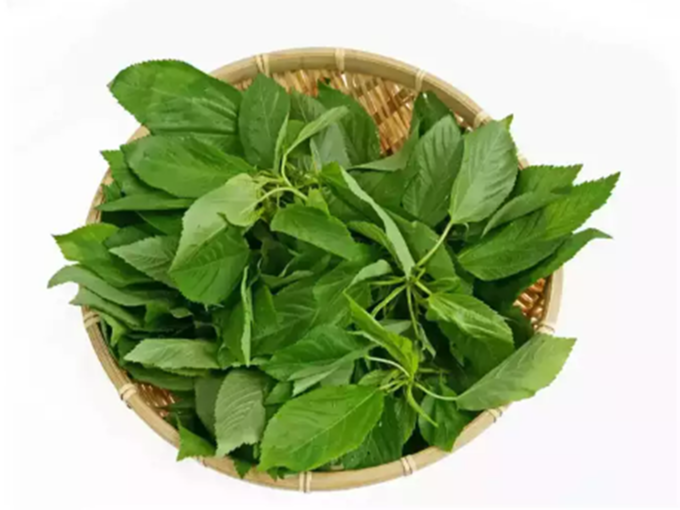 ​অমরনাথ পাতায় ভালো ক্যালশিয়াম থাকে (Amaranth Leaves)