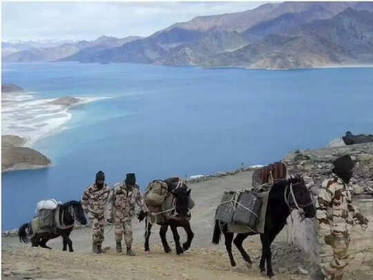 these dogs horse and camel are special meet 64 assistant sub inspectors of itbp animal transport cadre : ये आम घोड़े डॉग या ऊंट नहीं आईटीबीपी के असिस्टेंट सब इंस्पेक्टर हैं हेड these dogs horse and camel are special meet 64 assistant sub inspectors of itbp animal transport cadre : ये आम घोड़े डॉग या ऊंट नहीं आईटीबीपी के असिस्टेंट सब इंस्पेक्टर हैं हेड