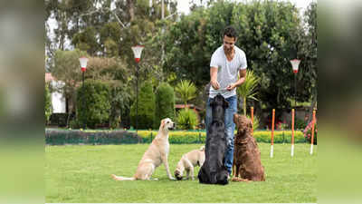 Lucknow: डॉग लवर्स ध्यान दें.. एक घर में नहीं पाल सकेंगे 2 से ज्यादा कुत्ते! लाइसेंस शुल्क भी बढ़ाने की तैयारी