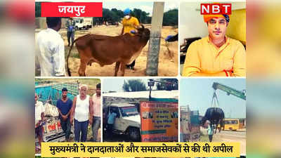 Lumpy Virus : गायों की हो रही मौत, राज्य सरकार के पास संसाधनों का टोटा, गोवंश को बचाने आगे आए आशु सिंह सूरपुरा