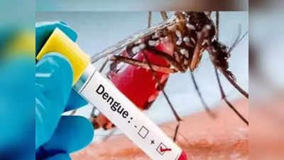 Dengue Situation: পুজোর আগে ডেঙ্গি নিয়ে উদ্বেগ অব্যাহত, হাওড়ায় কমছে আক্রান্তের সংখ্যা