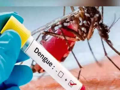 Dengue Situation: পুজোর আগে ডেঙ্গি নিয়ে উদ্বেগ অব্যাহত, হাওড়ায় কমছে আক্রান্তের সংখ্যা