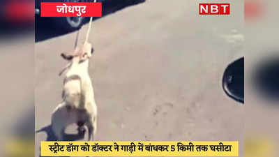 राजस्थान: कुत्ते को कार से बांधकर 5 km तक घसीटता रहा डॉक्टर, लोगों ने गाड़ी को रोक छुड़ाया... जोधपुर में मामला दर्ज
