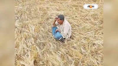 Farmer Suicide: মিলছে না ন্যূনতম সহায়ক মূল্য, নমো-কে জন্মদিনের শুভেচ্ছা জানিয়ে ‘আত্মঘাতী’ কৃষক