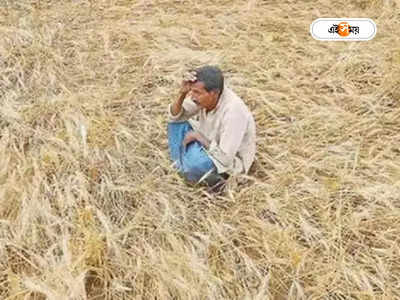 Farmer Suicide: মিলছে না ন্যূনতম সহায়ক মূল্য, নমো-কে জন্মদিনের শুভেচ্ছা জানিয়ে ‘আত্মঘাতী’ কৃষক