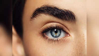 eye health foods : கண்பார்வை மங்கலான மாதிரி இருக்கா... இந்த 7 உணவுகளை தினமும் சாப்பிடுங்க... பிரைட்டா தெரியும்...