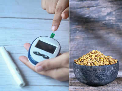 Pre Diabetes Diet: এই ৪ আয়ুর্বেদ ভেষজই প্রি-ডায়াবিটিসের যম, রোজ খালি পেটে খেলেই ম্যাজিক!