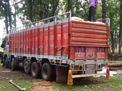 Jalpaiguri News : সিমেন্টের বস্তার আড়ালে মহামূল্যবান সামগ্রী, গাড়ি থামিয়ে তল্লাশি চালাতেই চোখ কপালে উঠল বন দফতরের কর্মীদের