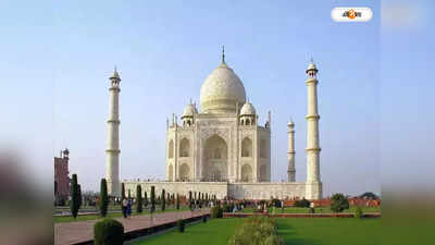 Taj Mahal: তাজমহলে বাঁদরের তাণ্ডব, ছবি তোলার সময় গুরুতর জখম ফরাসি পর্যটক