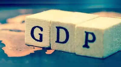 मटा लेखः जीडीपीचा सकल अर्थ