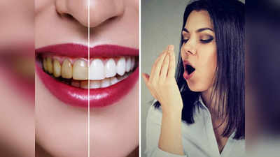 Home remedies for bad breath: मुंह की बदबू को सिर्फ 5 मिनट में खत्म कर देंगी ये 6 चीजें, दांत भी होंगे सफेद