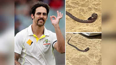 Mitchell Johnson LLC: थर-थर कांप रहे थे मिशेल जॉनसन! उधर लोगों ने सांप को बता दिया बांग्लादेशी खिलाड़ी