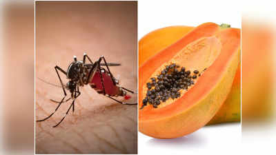Dengue Treatment Food: ডেঙ্গি হয়েছে? সুস্থ হতে জ্বর আসলেই ৫ খাবার মুখে তুলতে বললেন ডায়েটিশিয়ান